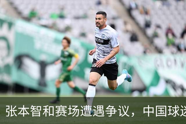 张本智和赛场遭遇争议，中国球迷呼吁保护运动员竞技环境