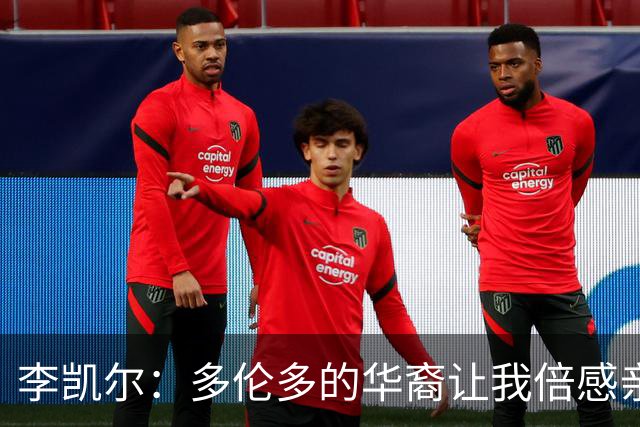 李凯尔：多伦多的华裔让我倍感亲切，这里是我的根