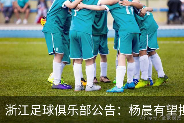 浙江足球俱乐部公告：杨晨有望担任新任总经理，任前公示期设定为七天